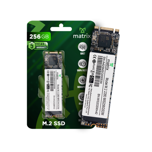 M.2 SSD 256GB